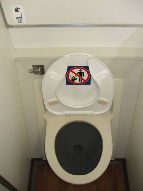 Delta Boeing 767-300ER toilet.