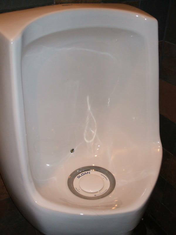 Waterless urinal in the Hand and Bell Tavern in Boston, Massachusetts.