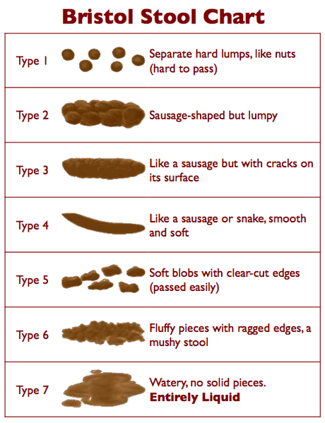 Bristol Stool Chart.