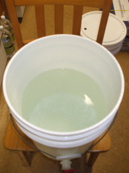 Large white polyethylene bucket half filled with chloraminated tap water.