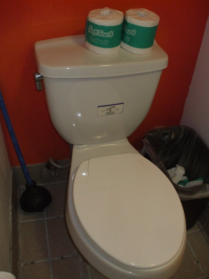 Dual-flush toilet with a vertical handle on the side of the tank.