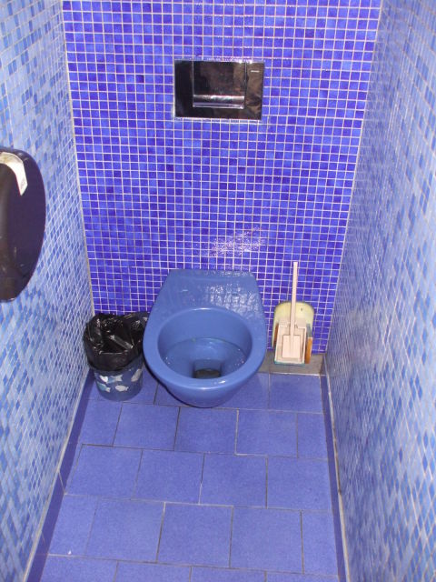 Blue toilet and blue tiles in a brasserie in Paris.