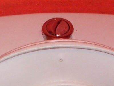 French dual-flush toilet flush button on the tank.
