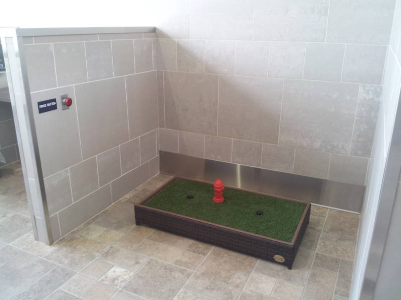 Toilets for dogs in the Detroit airport.