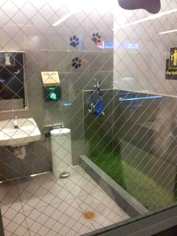 Service animal and pet relief area at New York JFK airport.