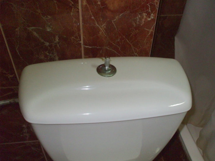 Pneumatic pushbutton toilet flushing system in Bucharest, Romania.