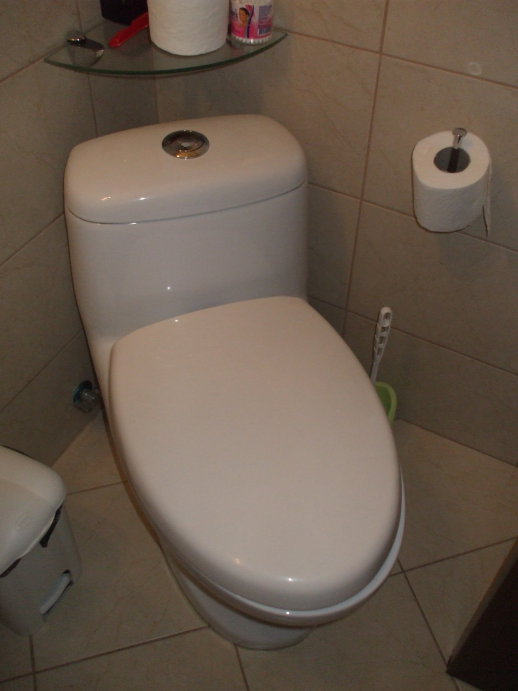 Toilet with two sizes of seats.  Both seats and lid down.