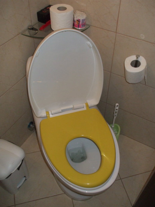 Toilet with two sizes of seats.  Lid up, both seats down, configured for child use.