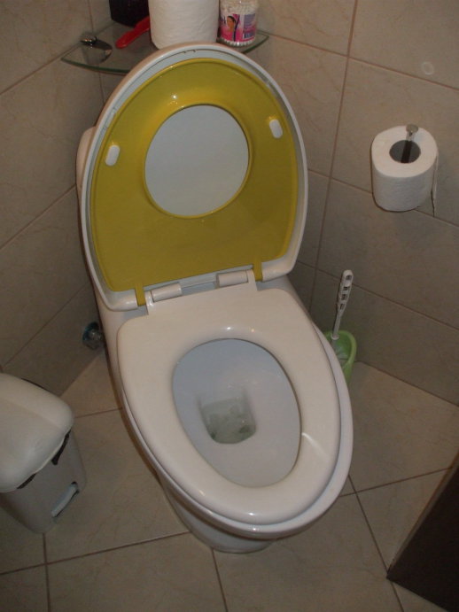 Toilet with two sizes of seats.  Lid and child's seat up, adult seat down, configured for adult use.