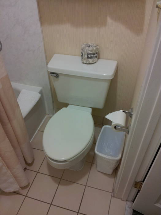 Hotel suite: tub and toilet.